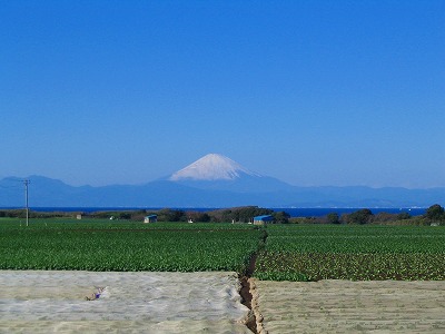 三浦半島先端の水戸浜から相模湾越に富士を望む写真